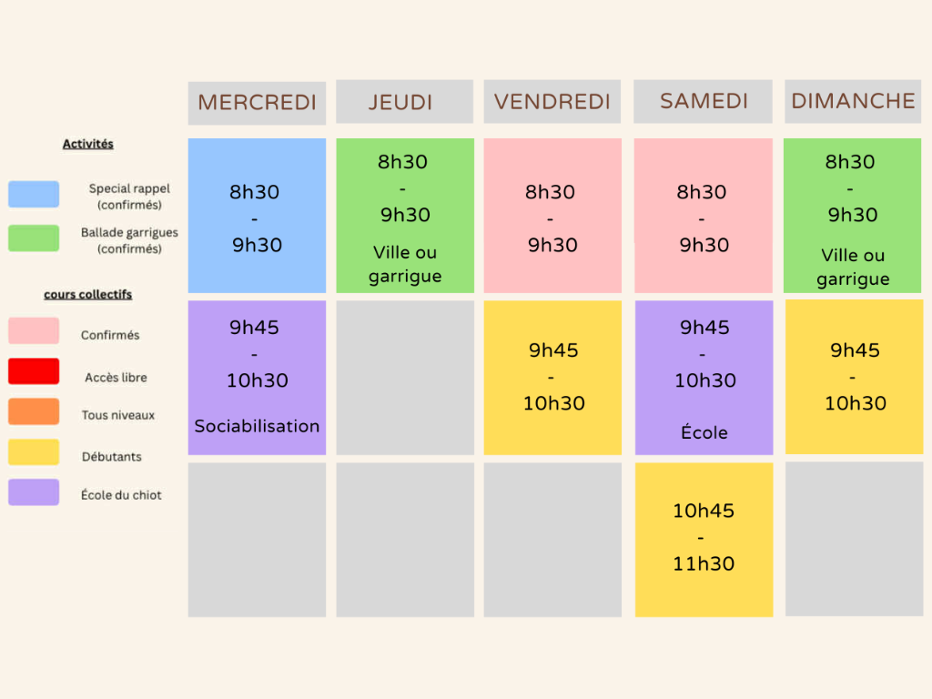 Planning été l'école des 4 pattes