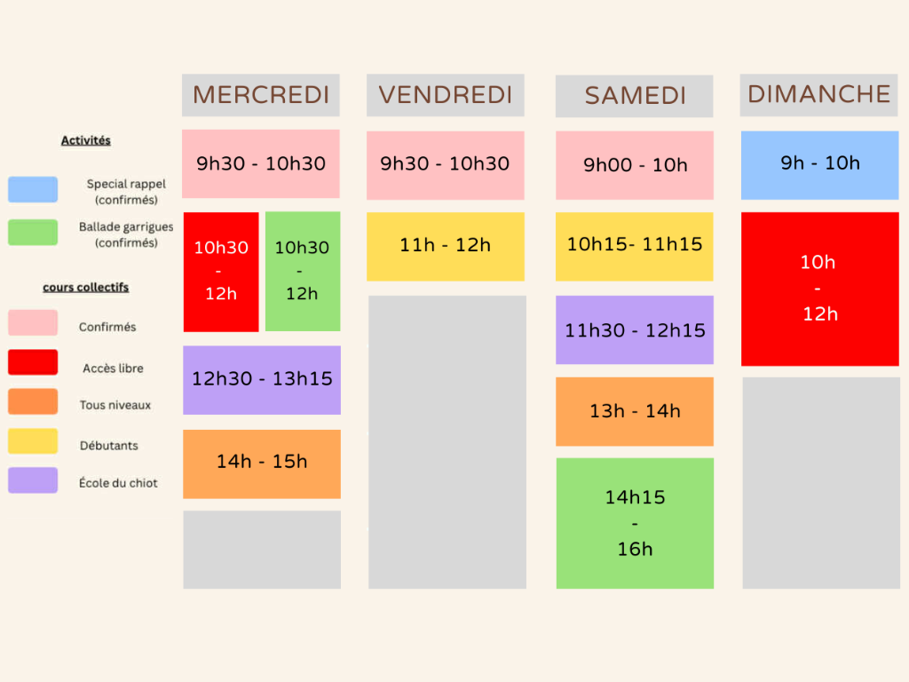 Planning Automne-hiver l'école des 4 pattes