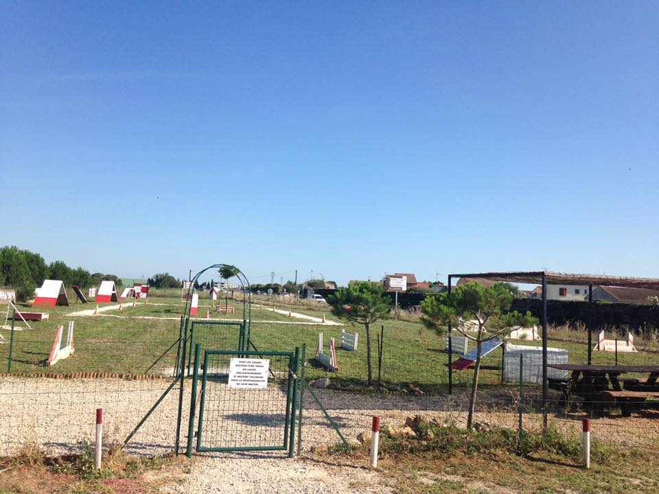 Accueil L'école des 4 pattes 3